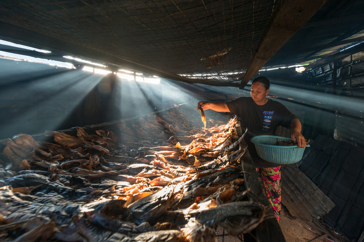 Fish being dried at Kampung Nelayan Belawai.